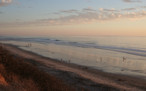 Mike Kim Law_San Diego Union Tribune